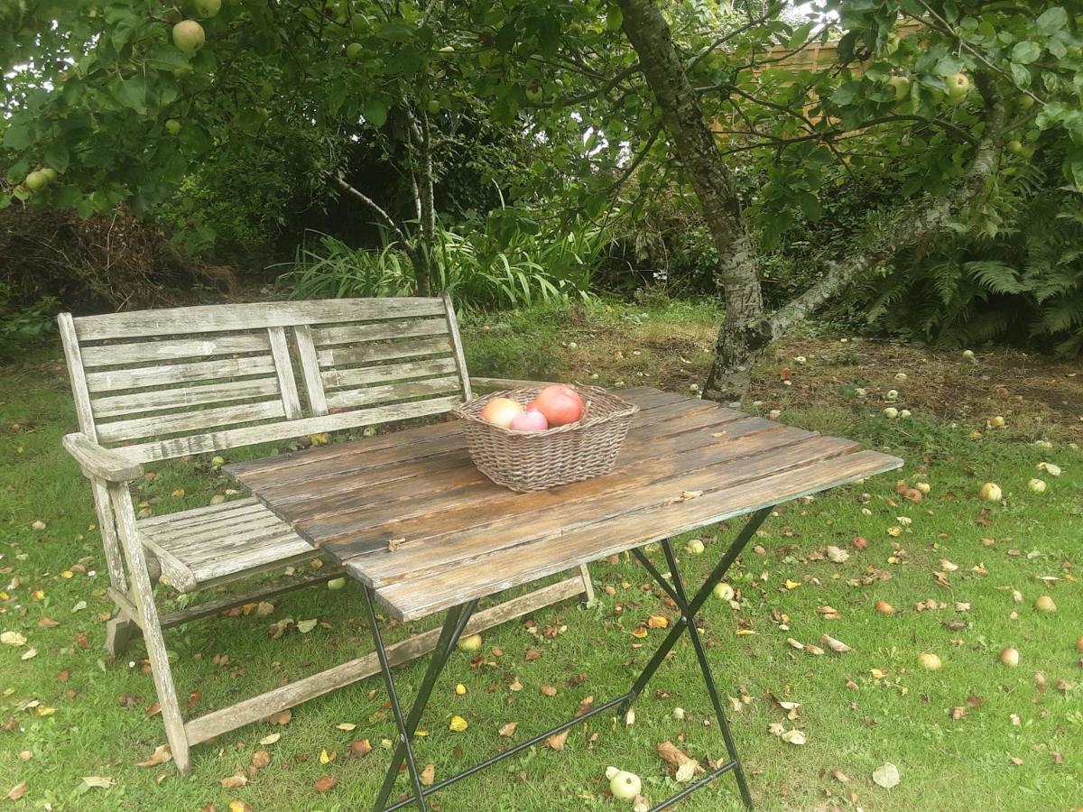 Tranquil Wood Cabin Set In A Beautiful Orchard Villa Penzance Exterior foto